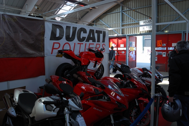 Puce_Niort_2009_077 [800x600].jpg